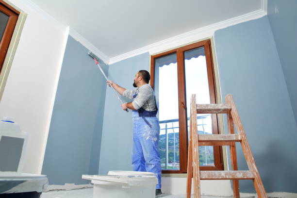 Best Wallpaper Removal and Painting  in , IN